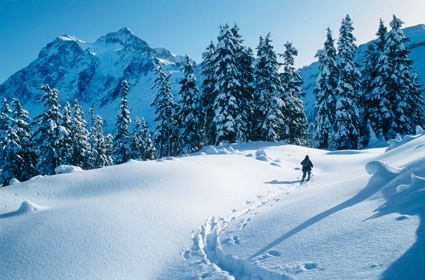 Mount Baker Ski Resort